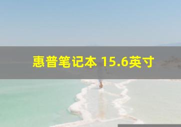 惠普笔记本 15.6英寸